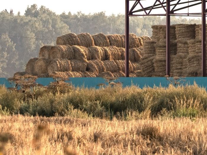 Hangar agricole Image de Hangar agricole